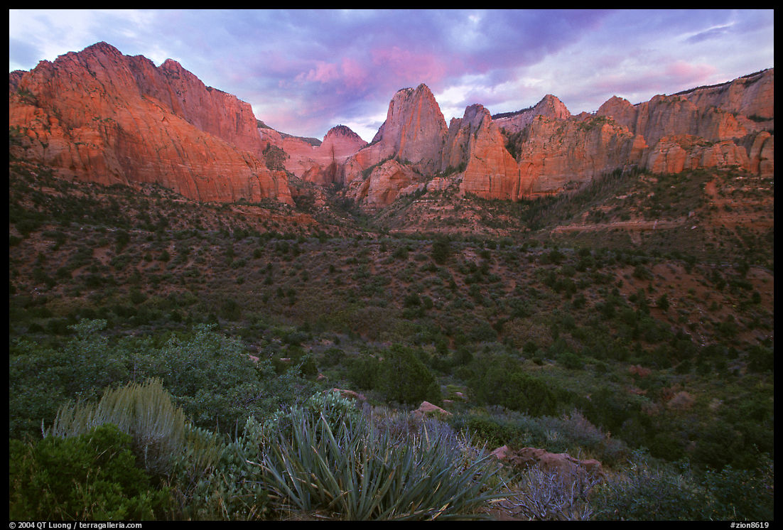 Panoramic view of Kolob Canyons at sunset. Zion National Park, Utah, USA.