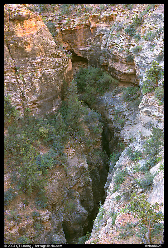 Slot Canyon seen from above. Zion National Park, Utah, USA.
