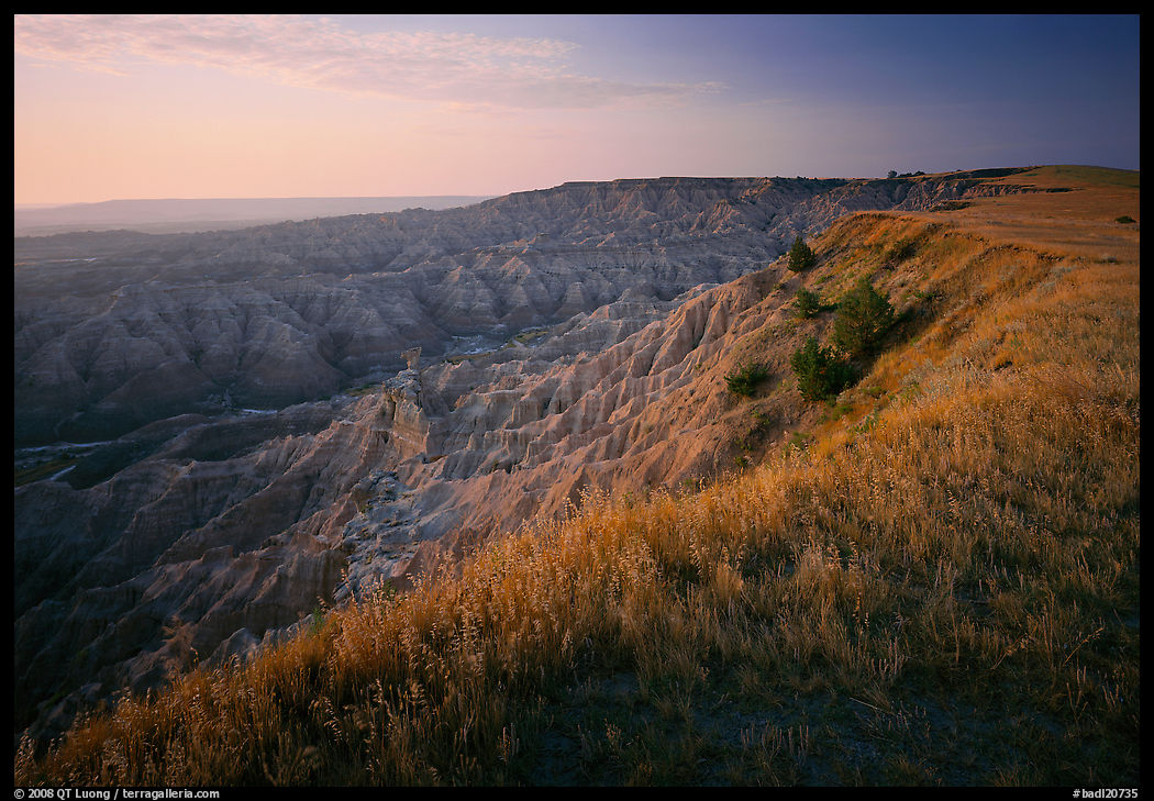 Prairie grasses and erosion canyon, southern unit, sunrise. Badlands National Park
