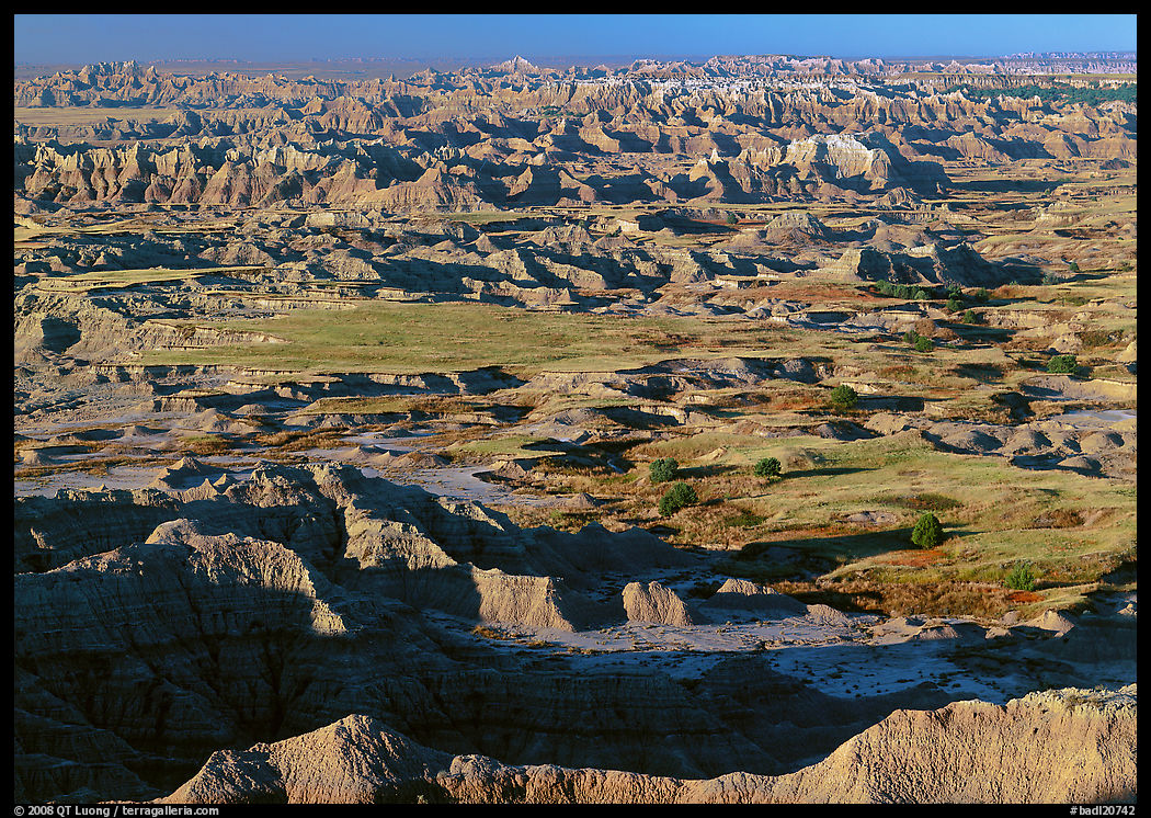 Prairie and eroded ridges stretching to horizon, early morning. Badlands National Park, South Dakota, USA.