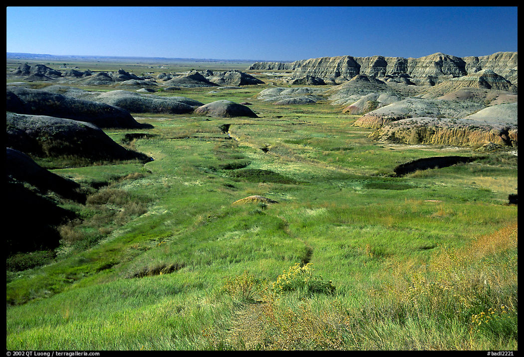 Badlands and Prairie at Yellow Mounds overlook. Badlands National Park, South Dakota, USA.