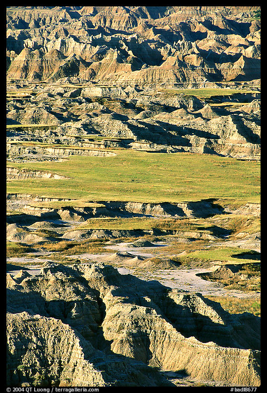 Badlands mixed with prairie from Pinacles overlook, morning. Badlands National Park, South Dakota, USA.