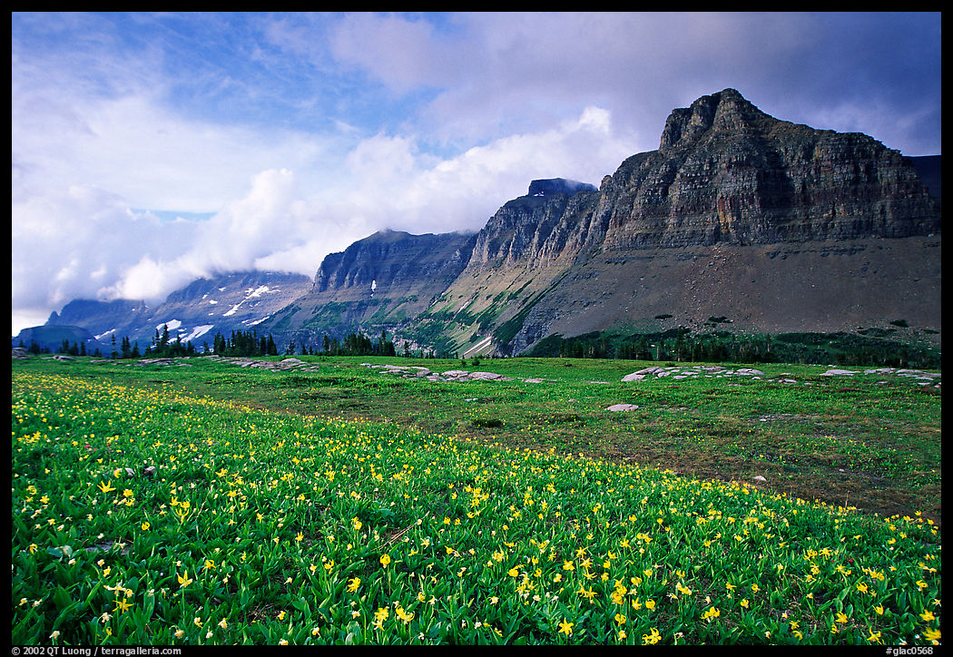Garden wall from Logan pass. Glacier National Park, Montana, USA.
