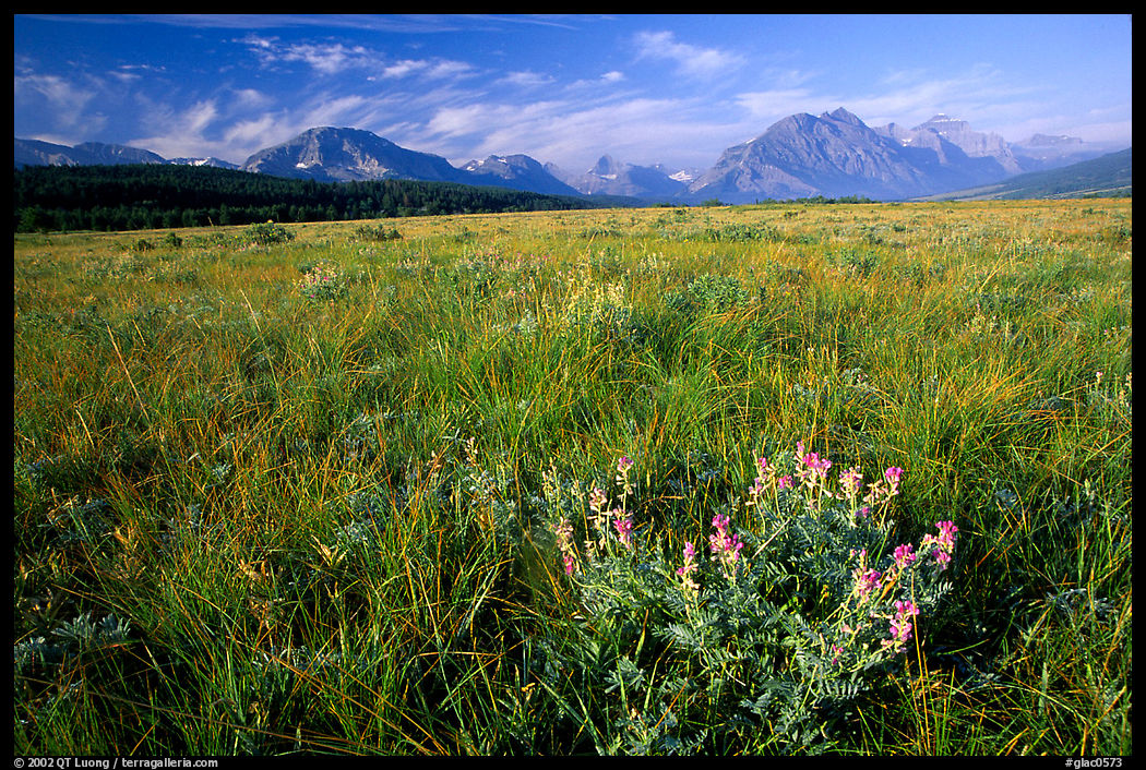 Prairie and Lewis range. Glacier National Park, Montana, USA.