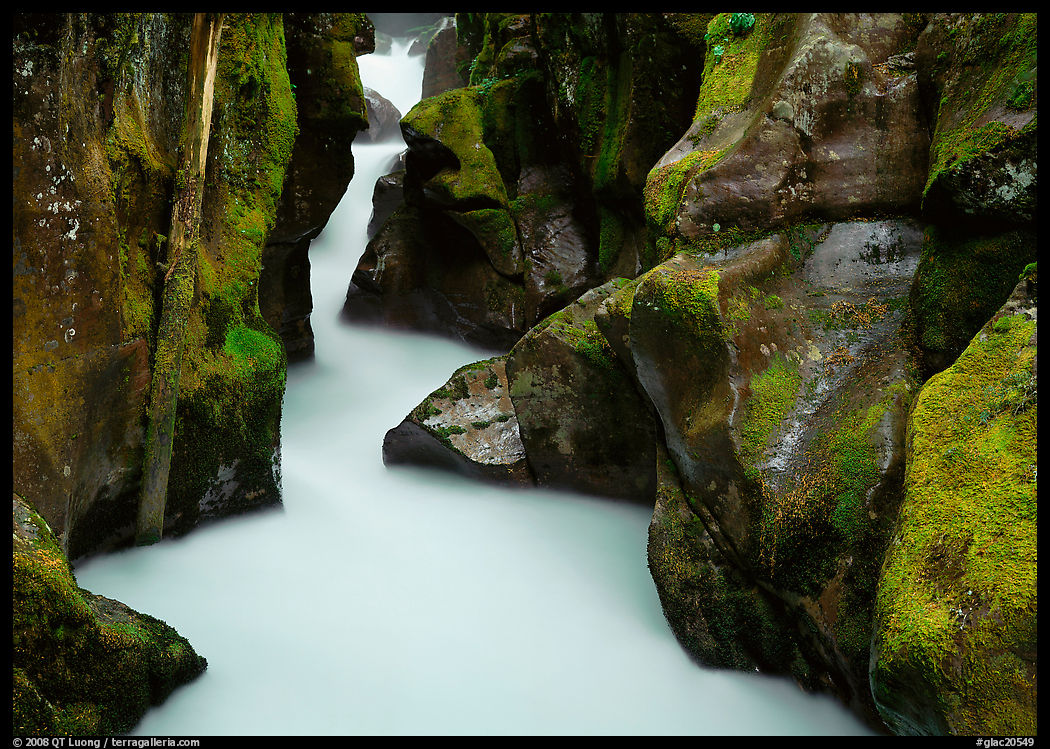 Water rushing in narrow mossy gorge, Avalanche Creek. Glacier National Park