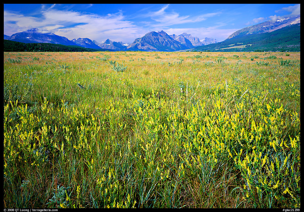 Lewis range seen from the eastern flats, morning. Glacier National Park, Montana, USA.