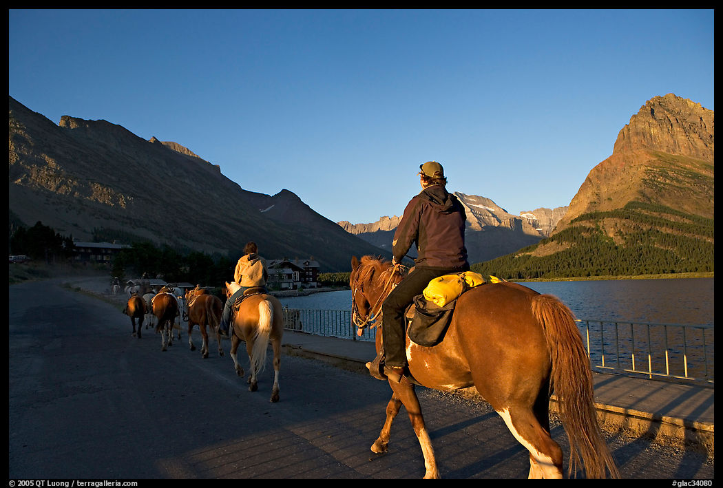 Horses on the shores of Swiftcurrent Lake, sunrise. Glacier National Park, Montana, USA.