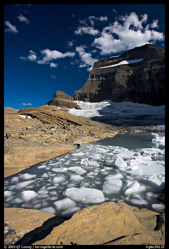 Icebergs in Upper Grinnel Lake, with glacier and Mt Gould in background. Glacier National Park, Montana, USA.