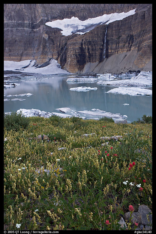 Wildflowers, Upper Grinnell Lake, and Salamander Falls and Glacier. Glacier National Park, Montana, USA.