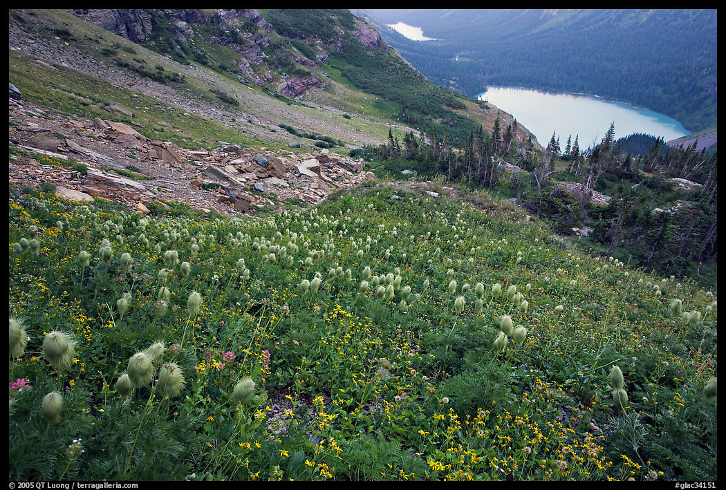 Bear Grass, Grinnell Lake and Josephine Lake. Glacier National Park, Montana, USA.