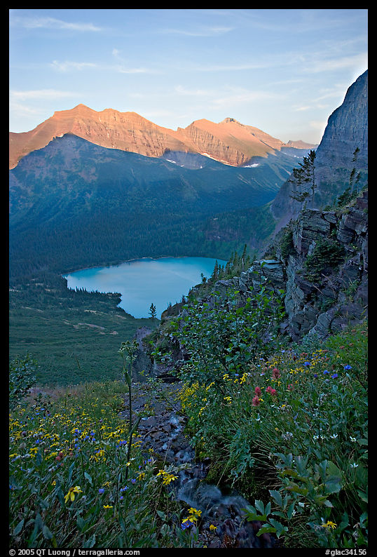 Alpine wildflowers and stream, Grinnell Lake, and Allen Mountain, sunset. Glacier National Park