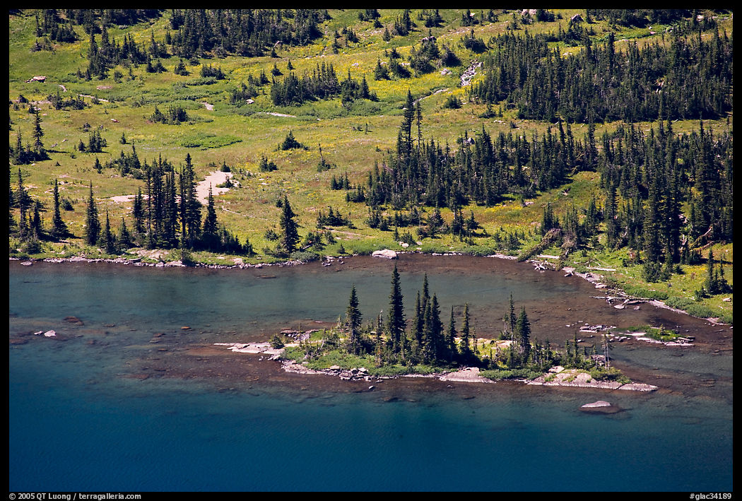 Islet on Hidden Lake. Glacier National Park, Montana, USA.