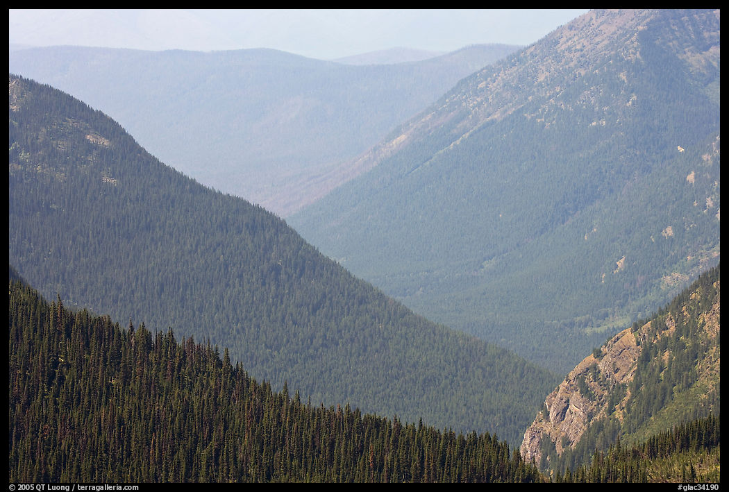 Forested Ridges seen from Hidden Lake Pass. Glacier National Park