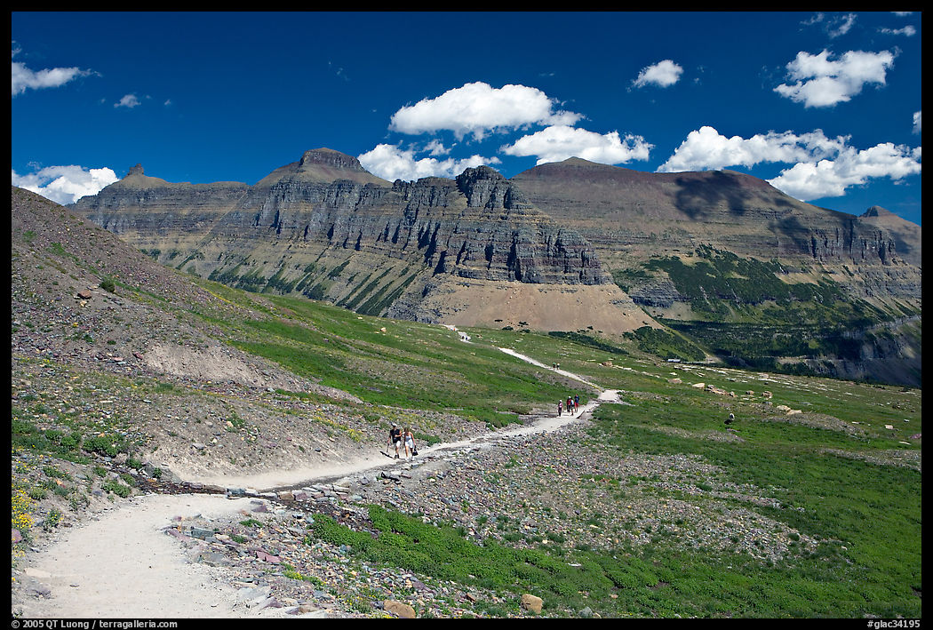 Trail near Logan Pass. Glacier National Park, Montana, USA.