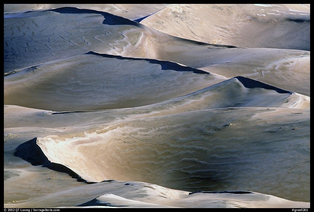 Dune ridges. Great Sand Dunes National Park, Colorado, USA.