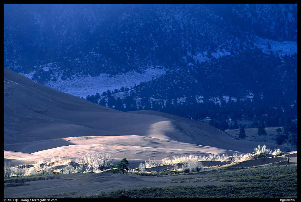 Storm light illuminates portions of the dune field. Great Sand Dunes National Park, Colorado, USA.