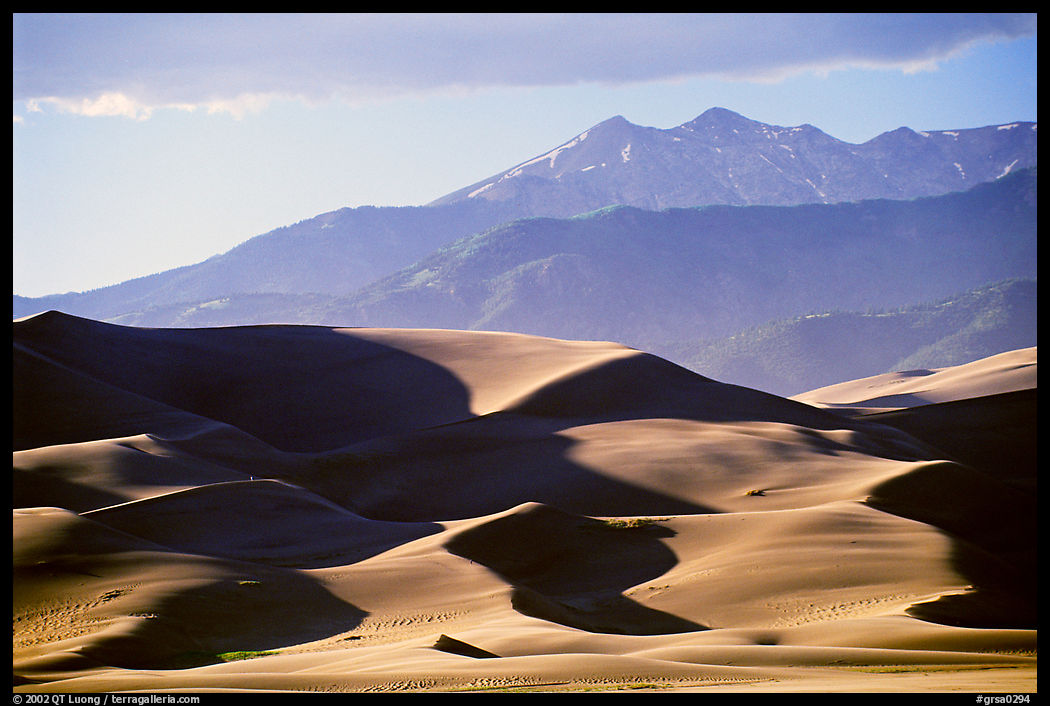 Distant view of dunes and Sangre de Christo mountains in late afternoon. Great Sand Dunes National Park, Colorado, USA.
