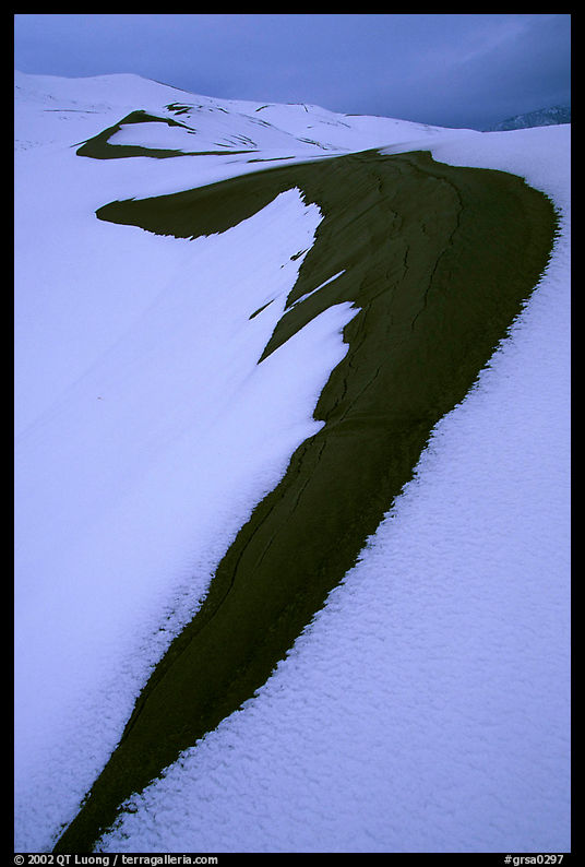 Curve on snowy dunes. Great Sand Dunes National Park, Colorado, USA.