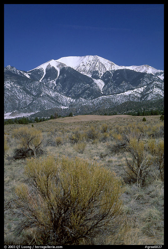 Desert-like sagebrush and snowy Sangre de Cristo Mountains. Great Sand Dunes National Park, Colorado, USA.