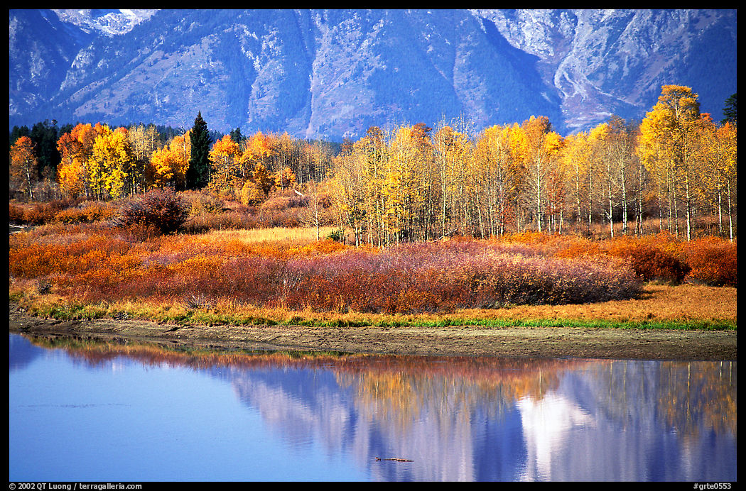 Autumn colors and reflexions of Mt Moran in Oxbow bend. Grand Teton National Park, Wyoming, USA.