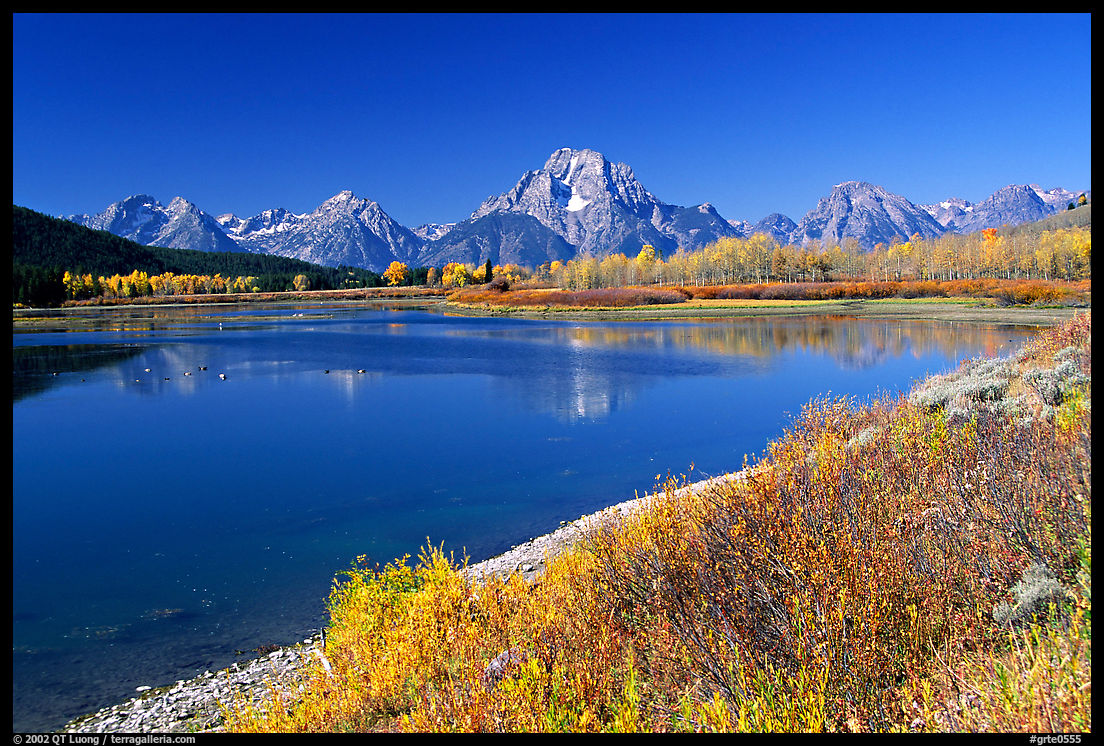 Fall colors and reflexions of Mt Moran and Teton range in Oxbow bend. Grand Teton National Park, Wyoming, USA.