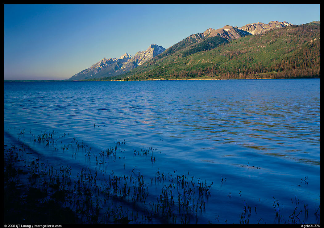 Teton range and Jackson Lake seen from Lizard Creek, early morning. Grand Teton National Park