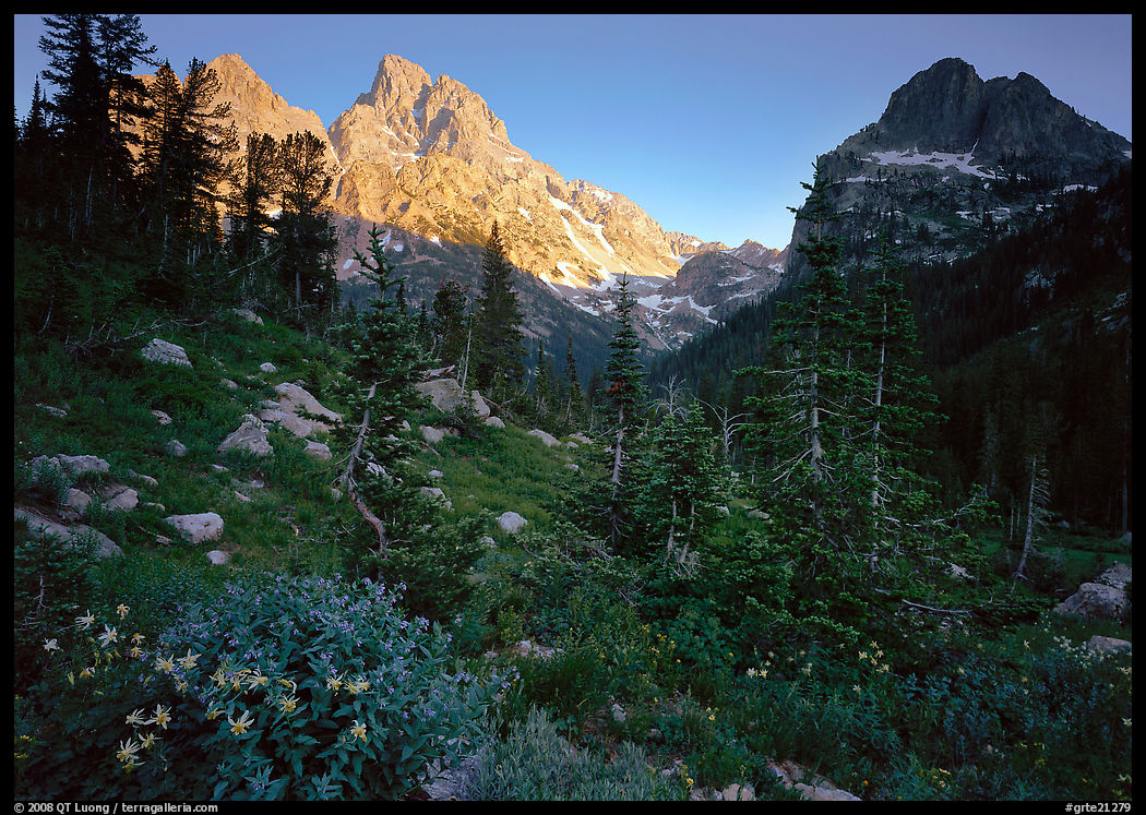 Meadow, wildflowers, and peaks at sunset. Grand Teton National Park, Wyoming, USA.
