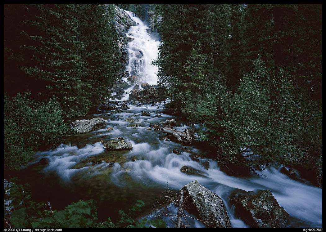 Hidden Falls, stream, and forest. Grand Teton National Park, Wyoming, USA.
