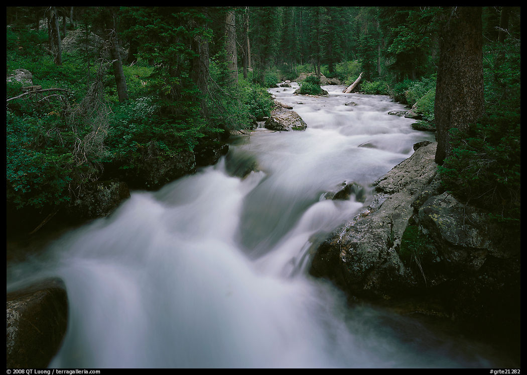 Cascade Creek and dark forest. Grand Teton National Park, Wyoming, USA.