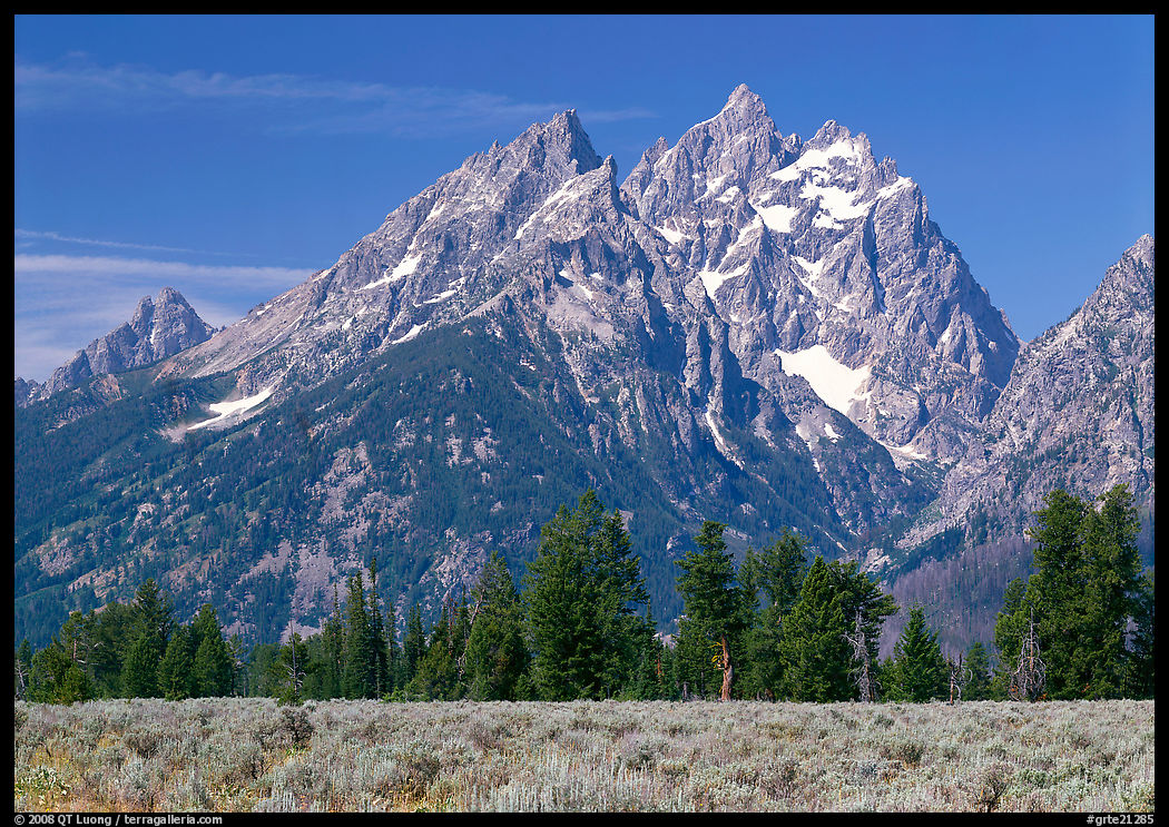 Cathedral group raising behind row of trees, morning. Grand Teton National Park, Wyoming, USA.