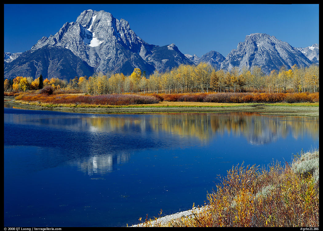 Mt Moran reflected in Oxbow bend in autumn. Grand Teton National Park, Wyoming, USA.