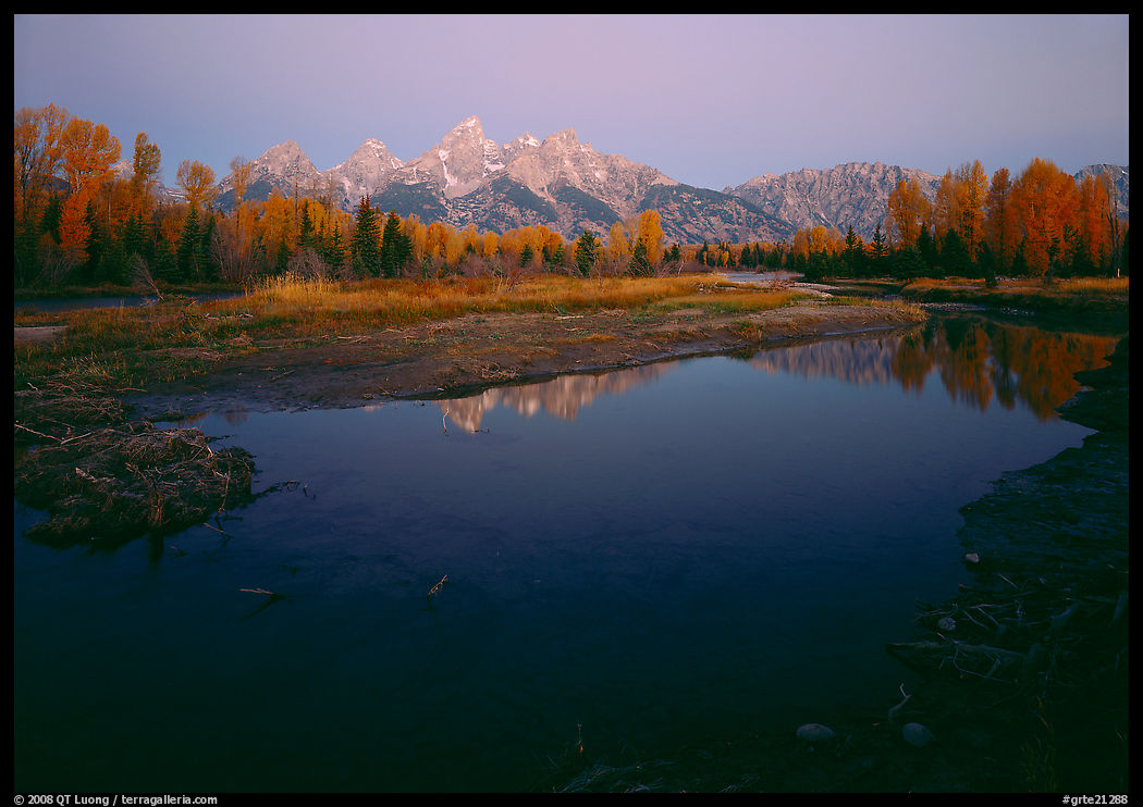 Teton range reflected in water at Schwabacher Landing, sunrise. Grand Teton National Park, Wyoming, USA.