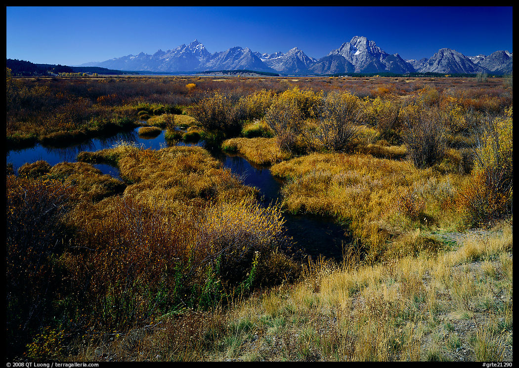 Wetlands and Teton range in autumn. Grand Teton National Park, Wyoming, USA.