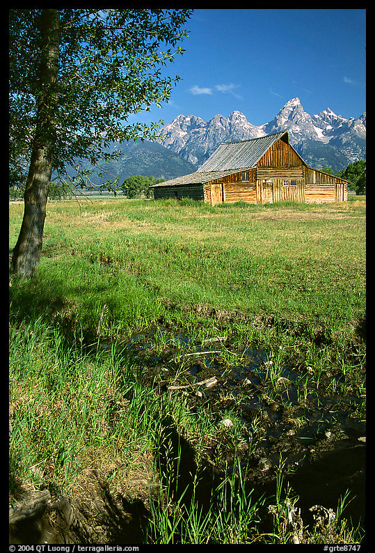Pasture and historical barn at the base of mountain range. Grand Teton National Park, Wyoming, USA.
