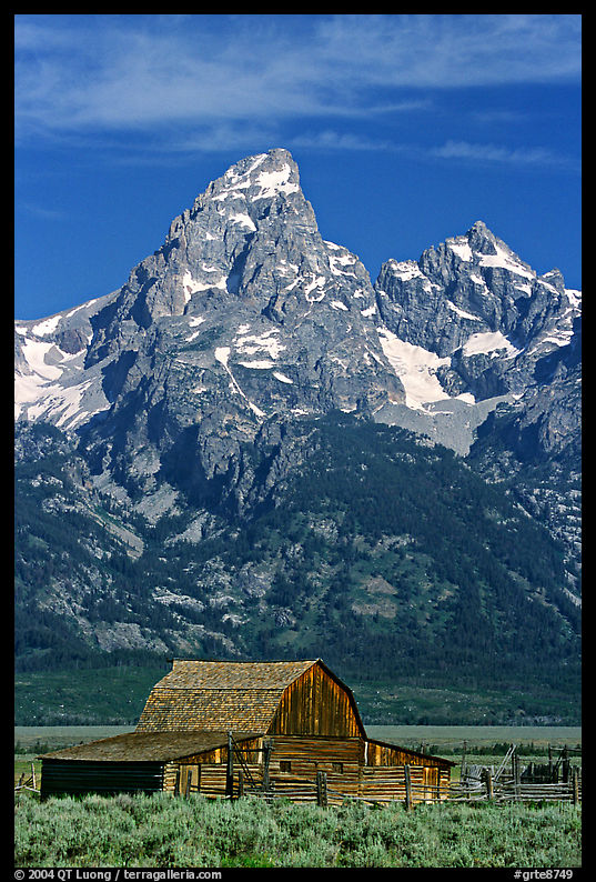 Historic Moulton Barn and Grand Tetons, morning. Grand Teton National Park, Wyoming, USA.