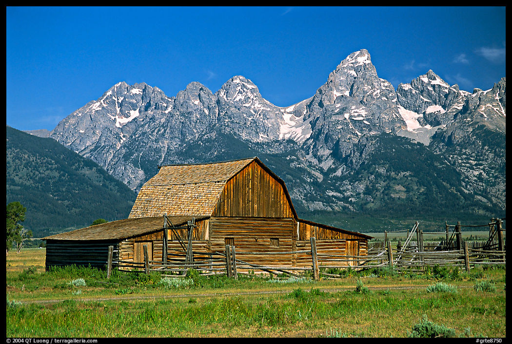 Historic Moulton Barn and Tetons mountain range, morning. Grand Teton National Park, Wyoming, USA.
