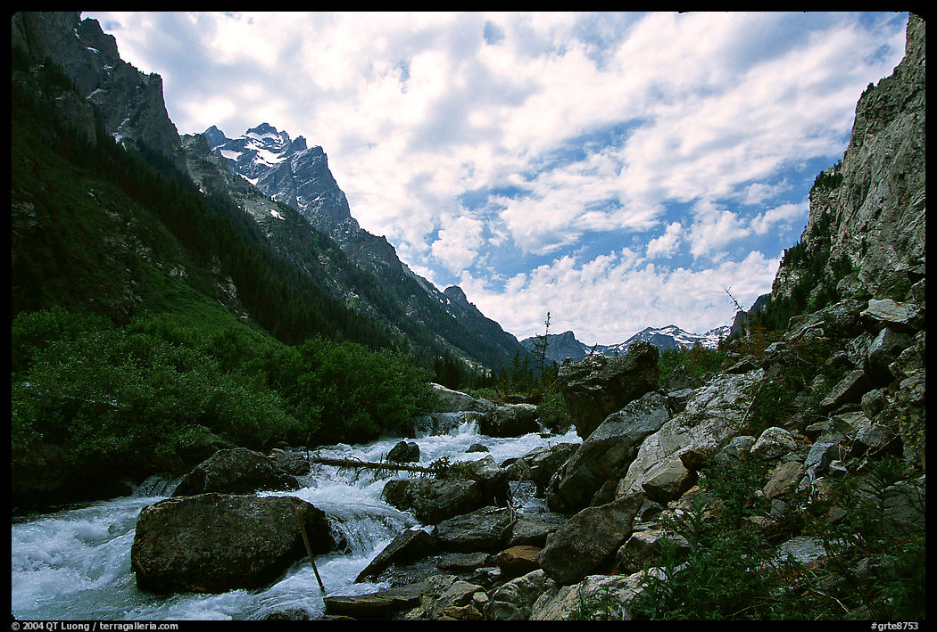 Cascade Creek flows in Cascade Canyon. Grand Teton National Park, Wyoming, USA.