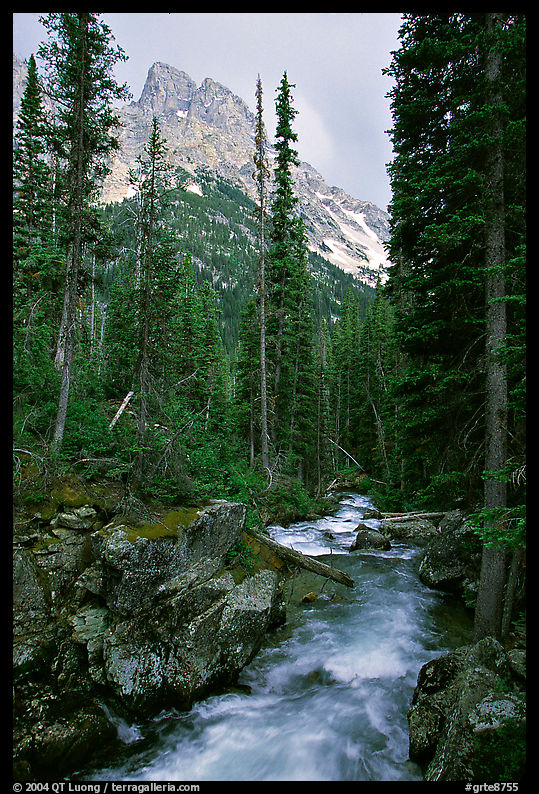 Cascade Creek and Tetons. Grand Teton National Park, Wyoming, USA.