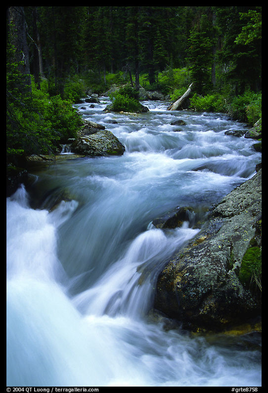 Cascade Creek flowing over rocks. Grand Teton National Park, Wyoming, USA.