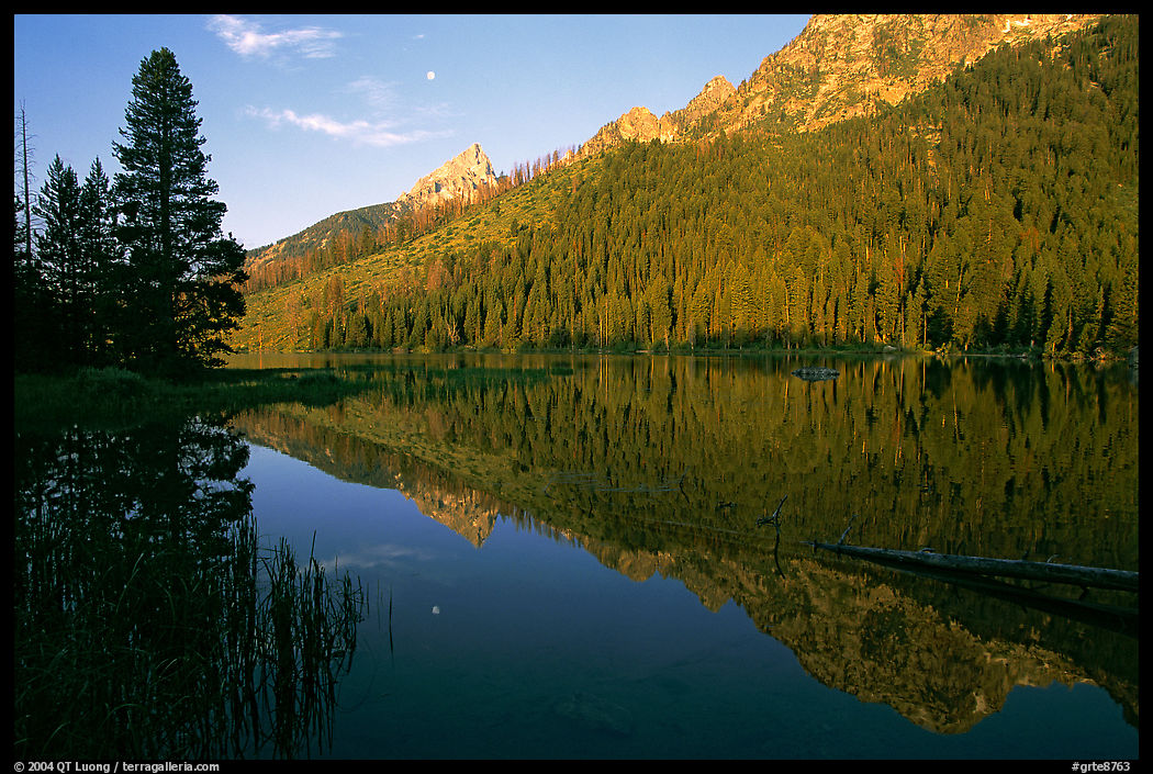 String Lake and Tetons, sunrise. Grand Teton National Park, Wyoming, USA.
