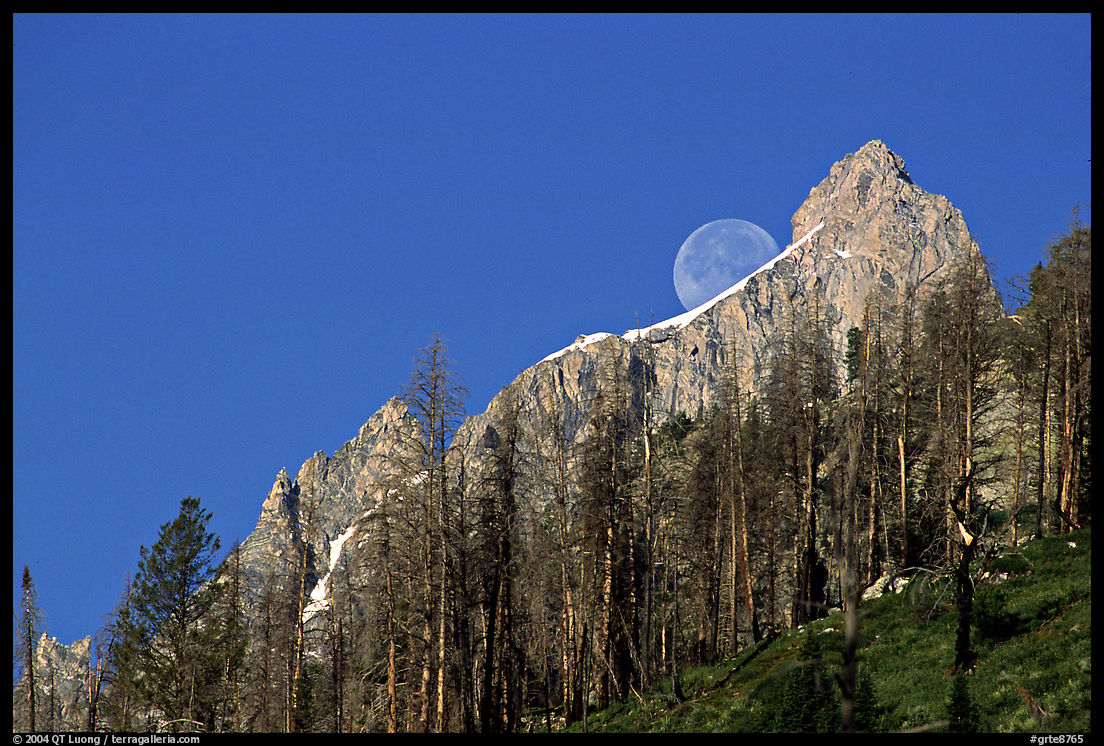 Moon and Grand Teton. Grand Teton National Park, Wyoming, USA.