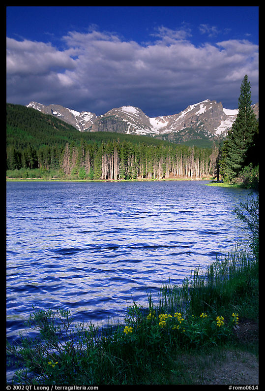Windy morning, Sprague Lake. Rocky Mountain National Park, Colorado, USA.