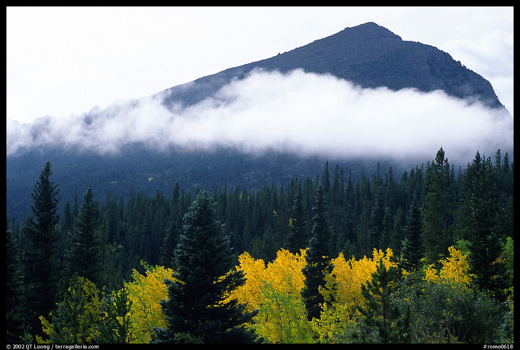 Fog, trees, and peak, Glacier basin. Rocky Mountain National Park, Colorado, USA.