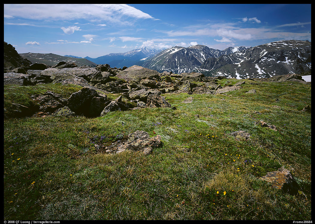 Alpine tundra near Trail Ridge Road in summer. Rocky Mountain National Park, Colorado, USA.