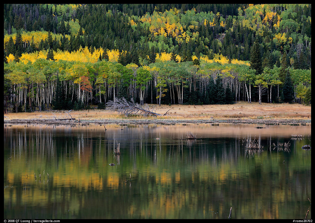 Mixed trees and  reflexions. Rocky Mountain National Park, Colorado, USA.