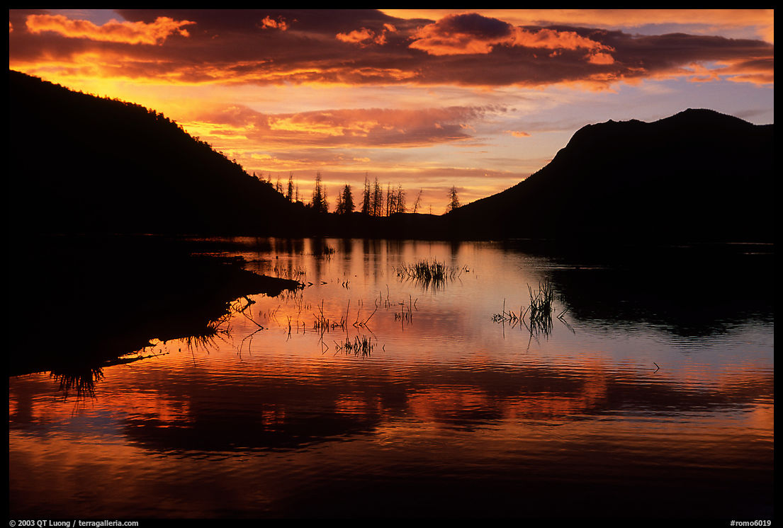 Sunrise on a pond in Horseshoe Park. Rocky Mountain National Park, Colorado, USA.