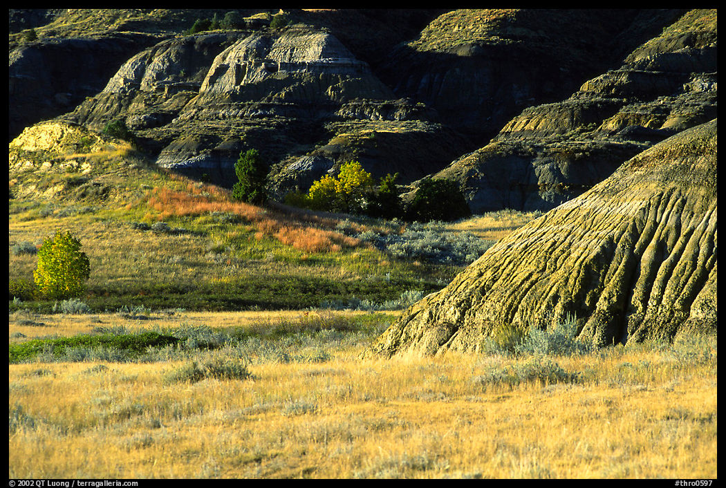 Badlands and prairie in North unit. Theodore Roosevelt  National Park, North Dakota, USA.