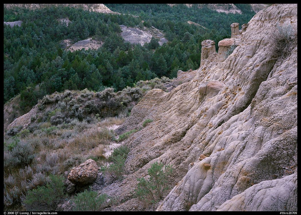 Badlands with Caprock chimneys, North Unit. Theodore Roosevelt  National Park, North Dakota, USA.