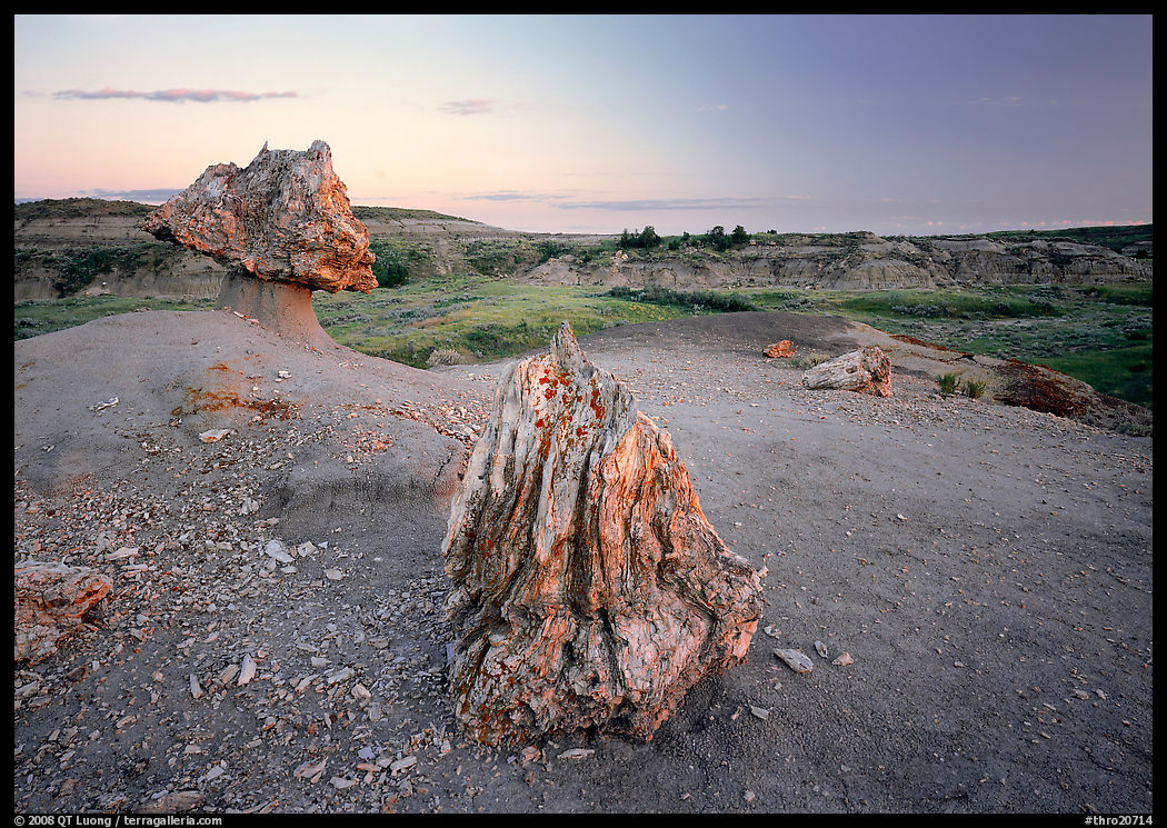 Pedestal petrified log and petrified stump sunset,. Theodore Roosevelt  National Park, North Dakota, USA.