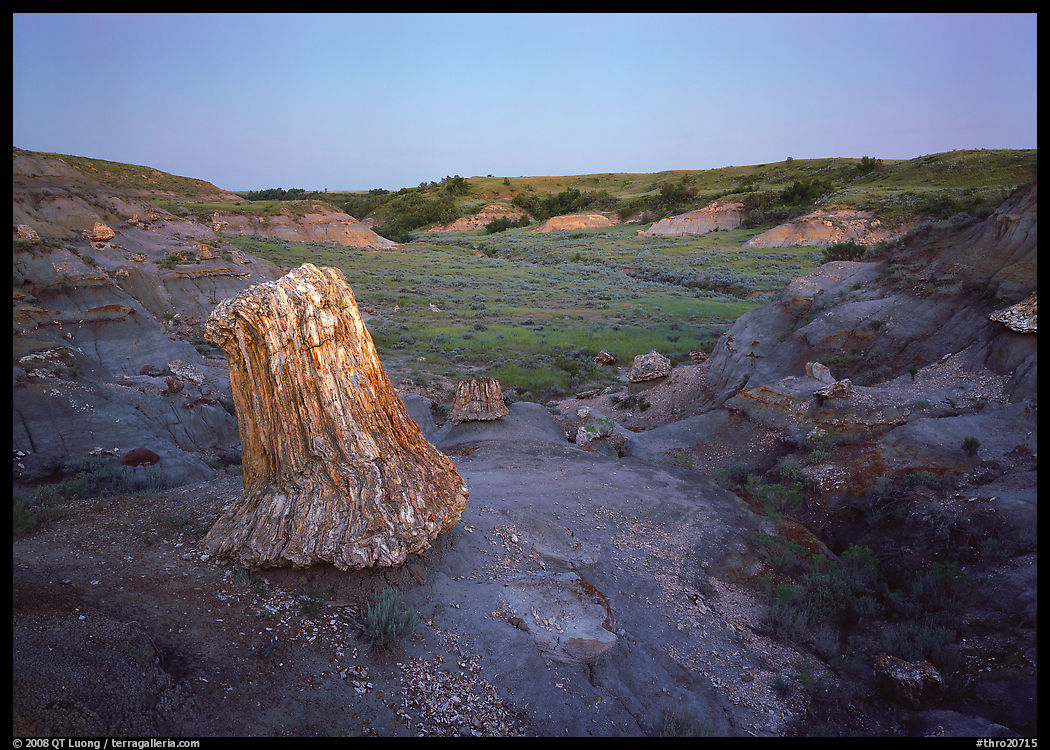 Petrified log stump at dusk, South Unit. Theodore Roosevelt  National Park, North Dakota, USA.
